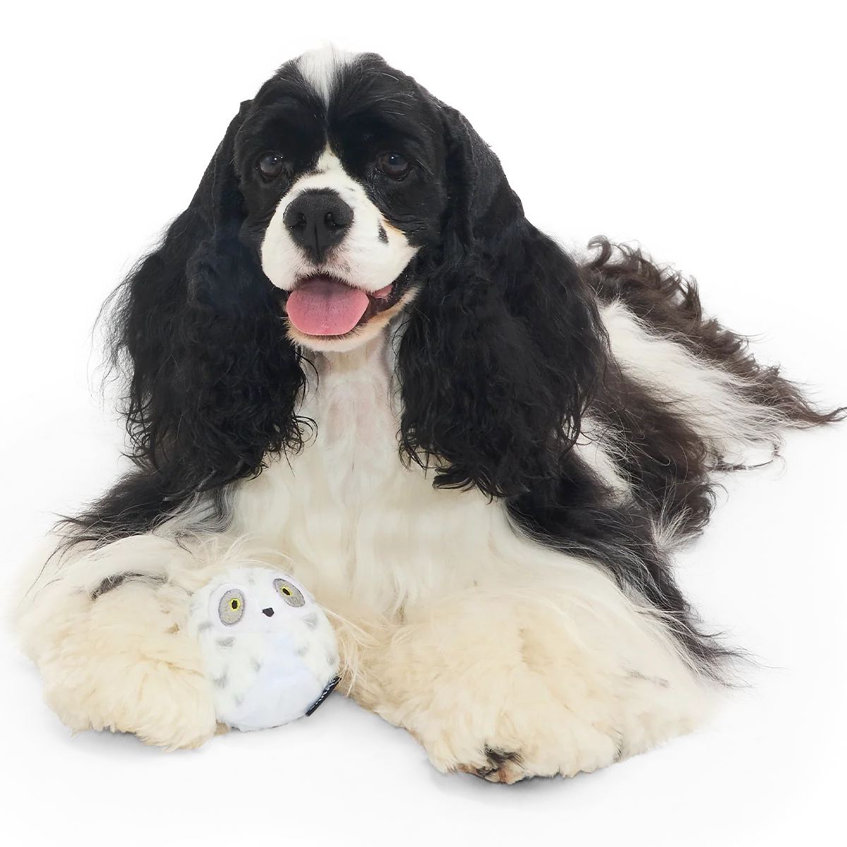 Hedwig™ the Owl Super Chewer Durable 2-in-1 + Fetch Dog Toy - Image 7