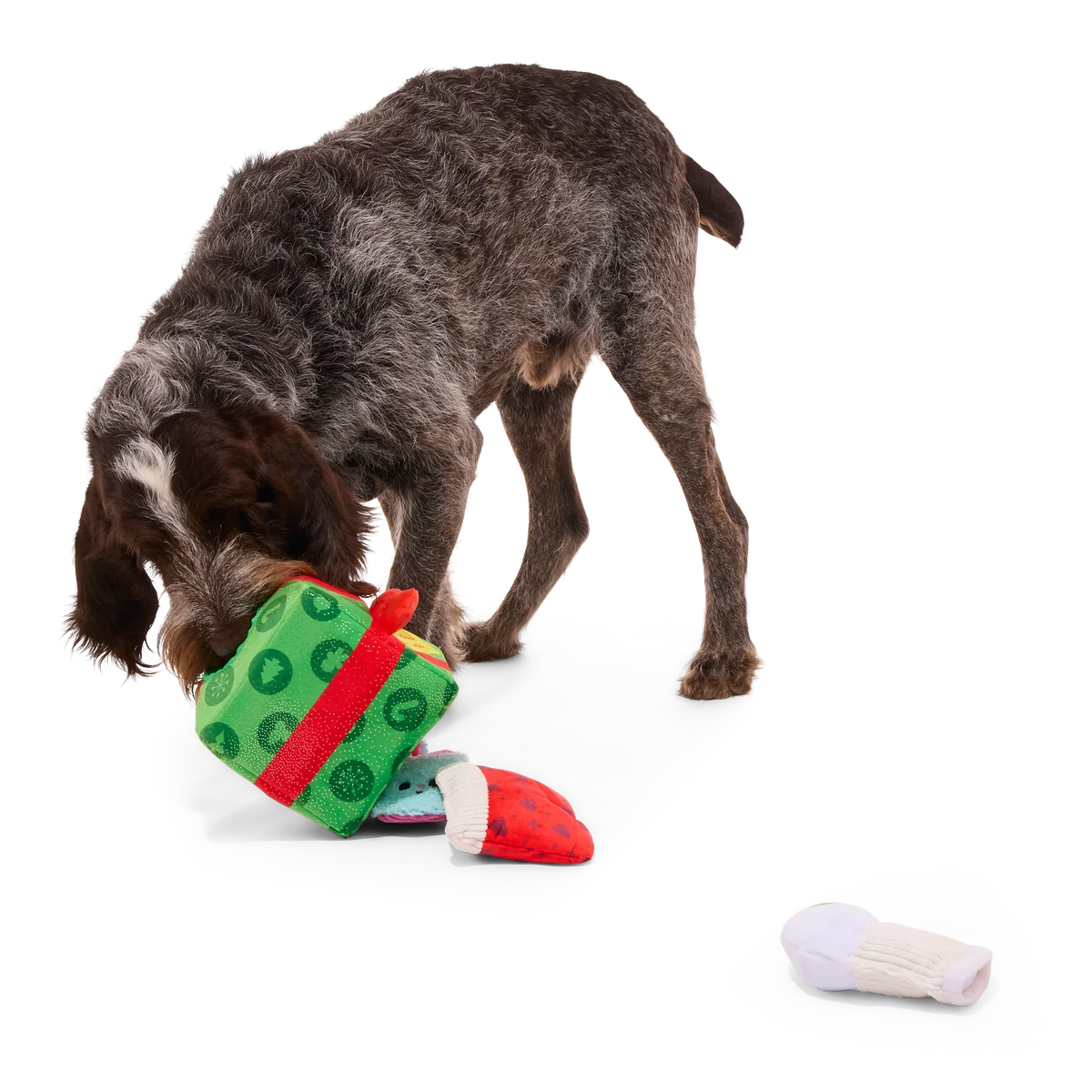 Holly Day's Presents Plush Extra-Large + Multi-Part + Enrichment Dog Toy - Image 4