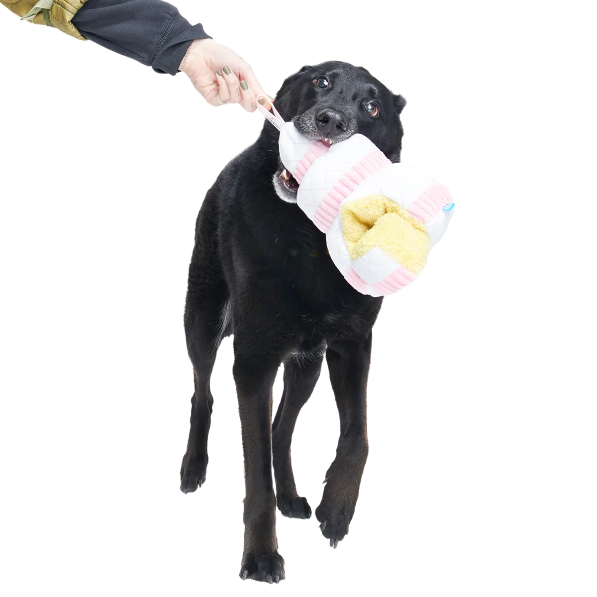 Holy Ratrimony Plush Multi-Part + Enrichment Dog Toy - Image 2