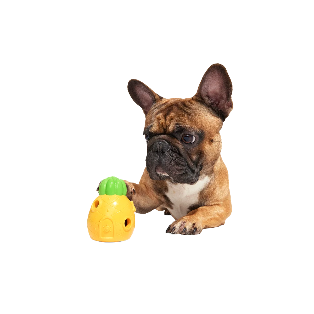 Home Sweet Pineapple Super Chewer Durable Enrichment Dog Toy - Image 3