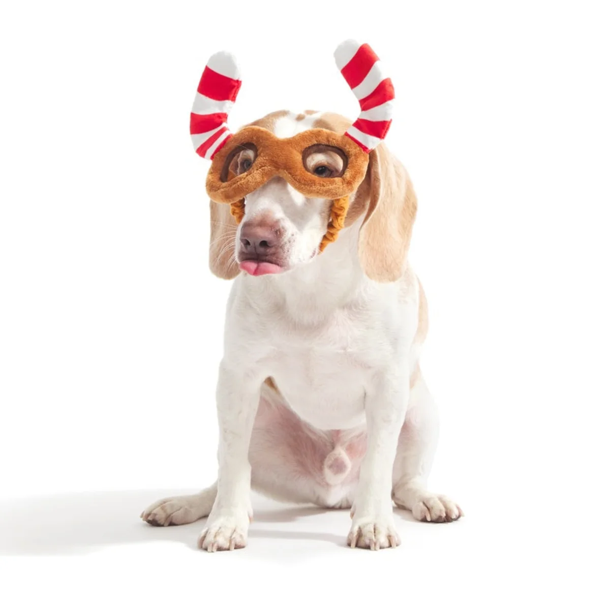 Howliday Spectacles Pack Plush Wearable Tug Dog Toy - Image 3