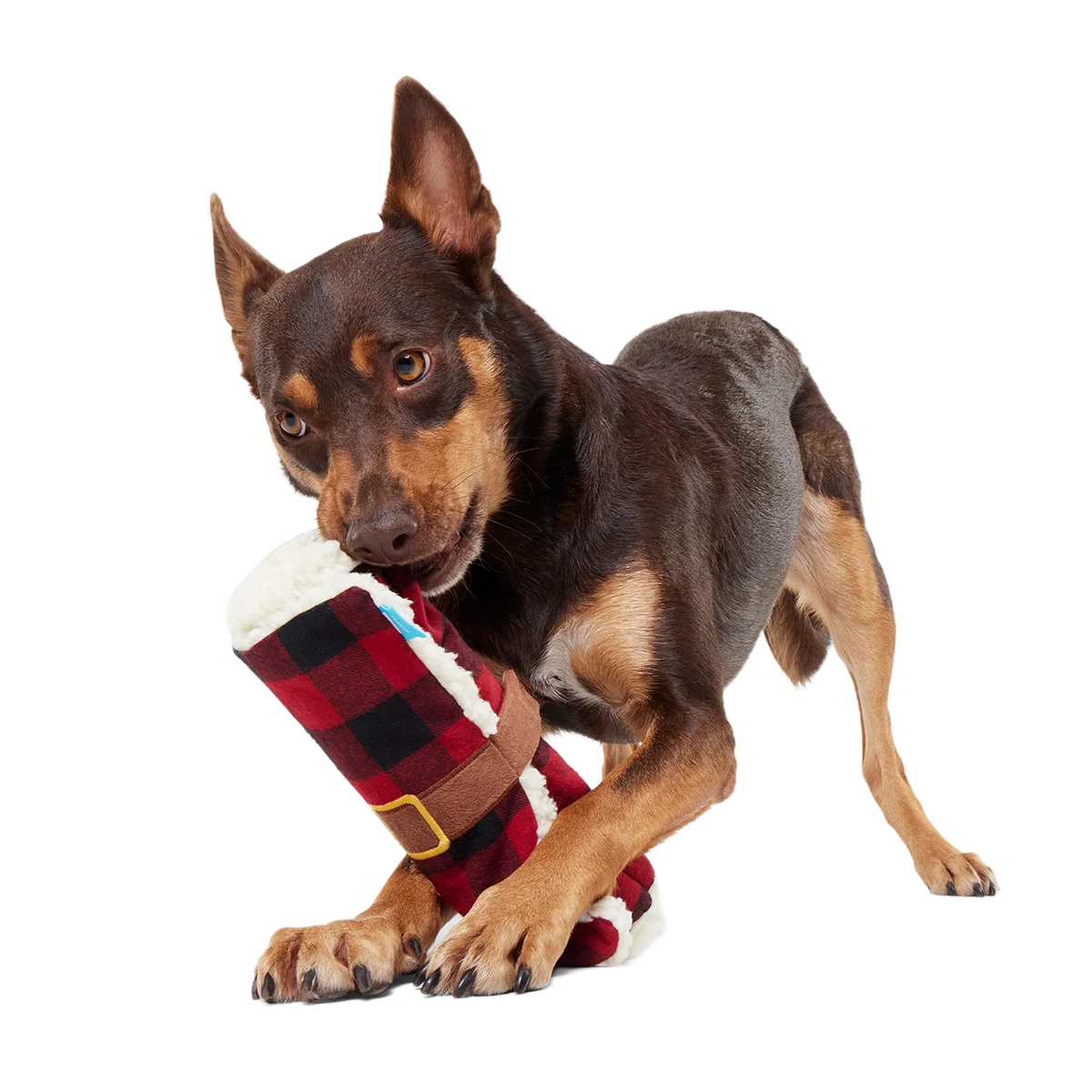 Hygge Snuggler Blanket Plush Enrichment Dog Toy - Image 5
