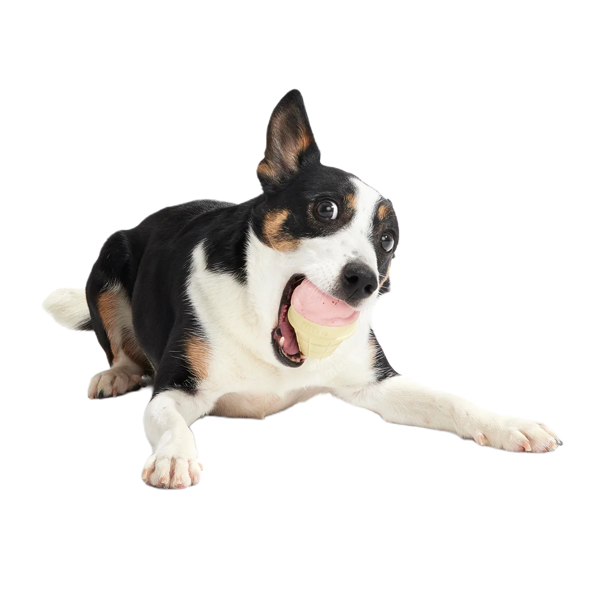 I Squeak Cone Super Chewer Durable Gnaw Dog Toy - Image 4