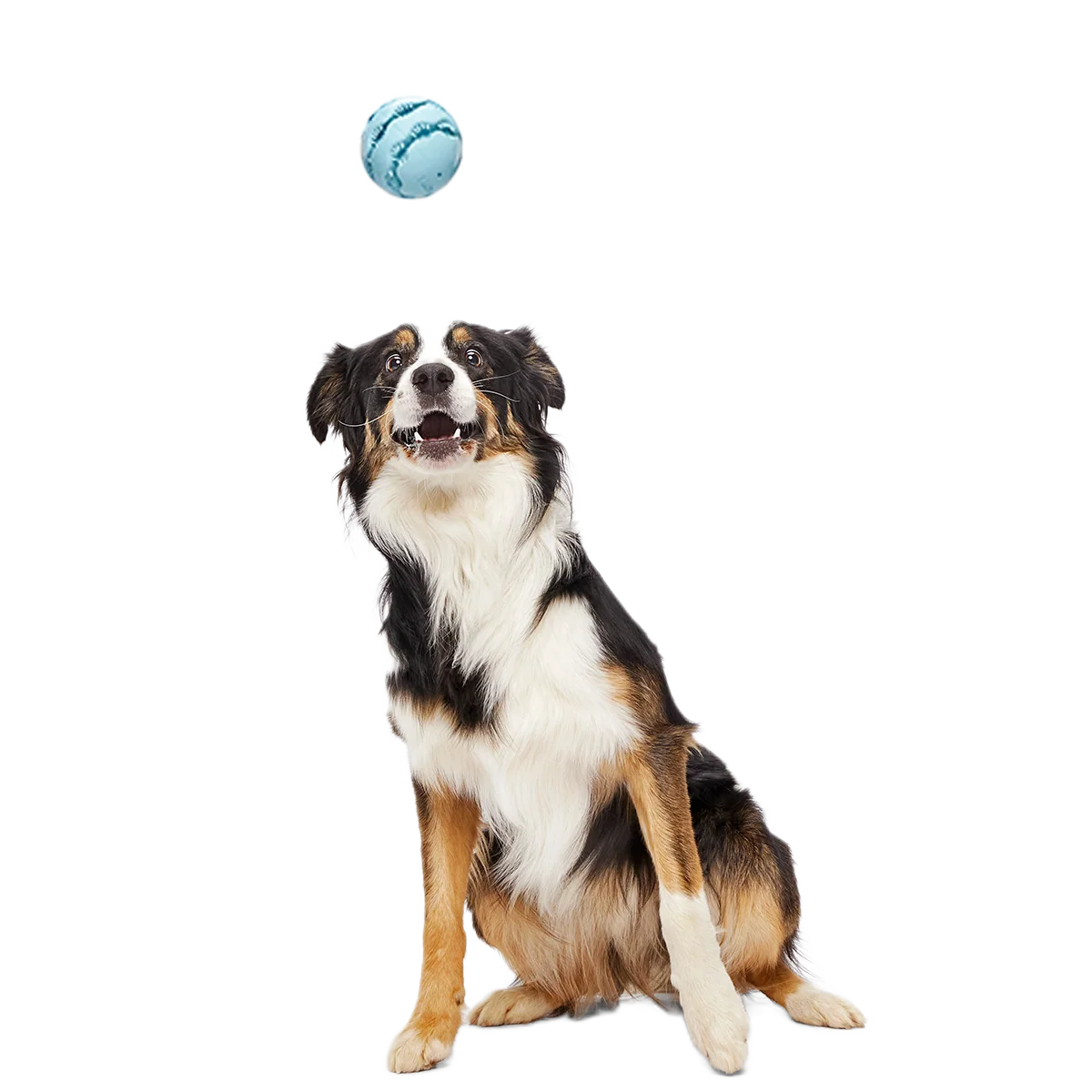 Jawball Super Chewer Durable Fetch + Enrichment Dog Toy - Image 4