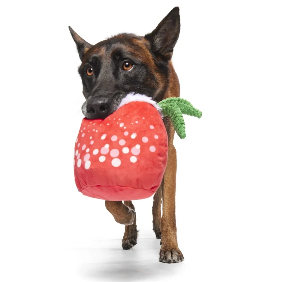 Jingle Juice Plush Dog Toy - Image 2