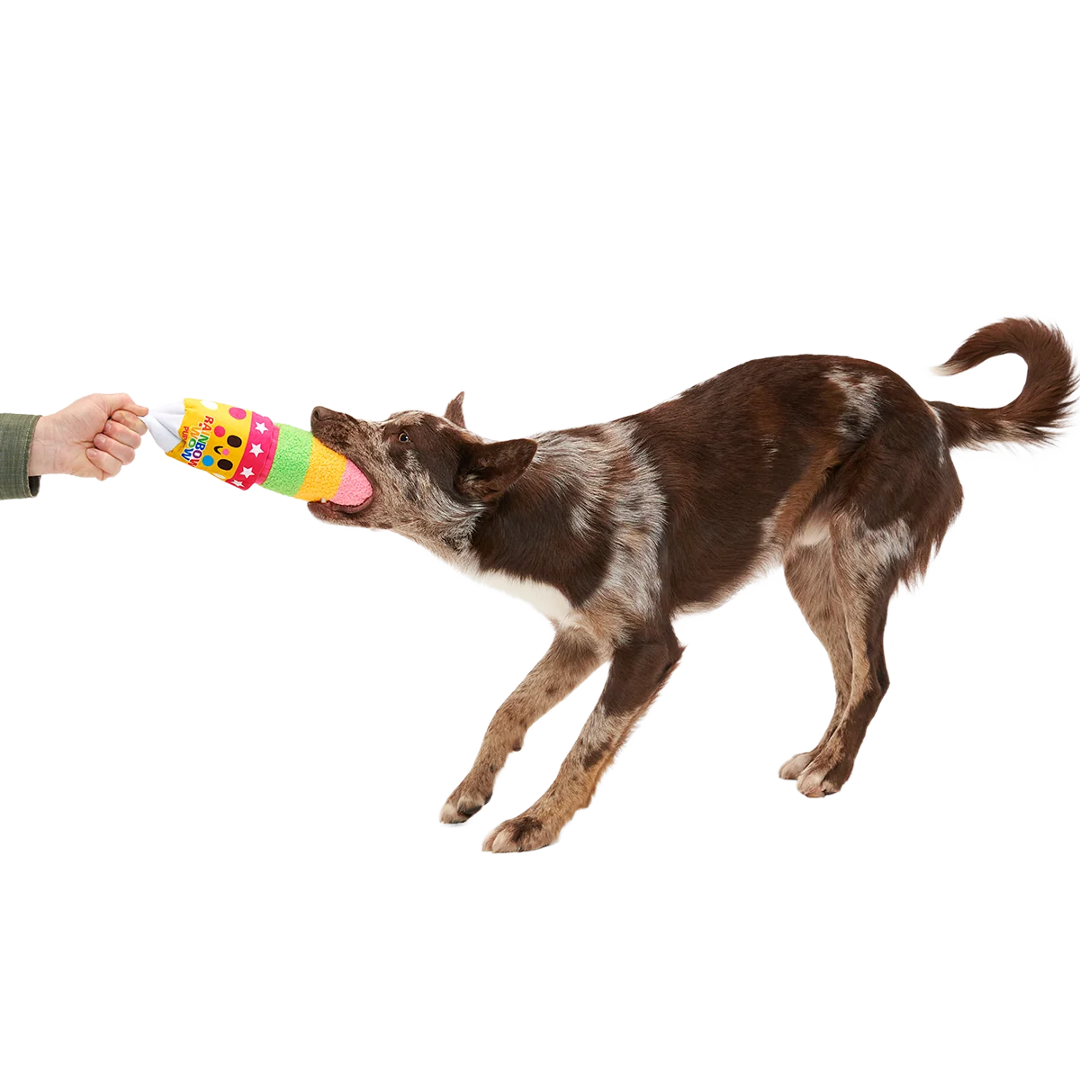 Junk Food Club, Plush Monthly Dog Toys - Image 5