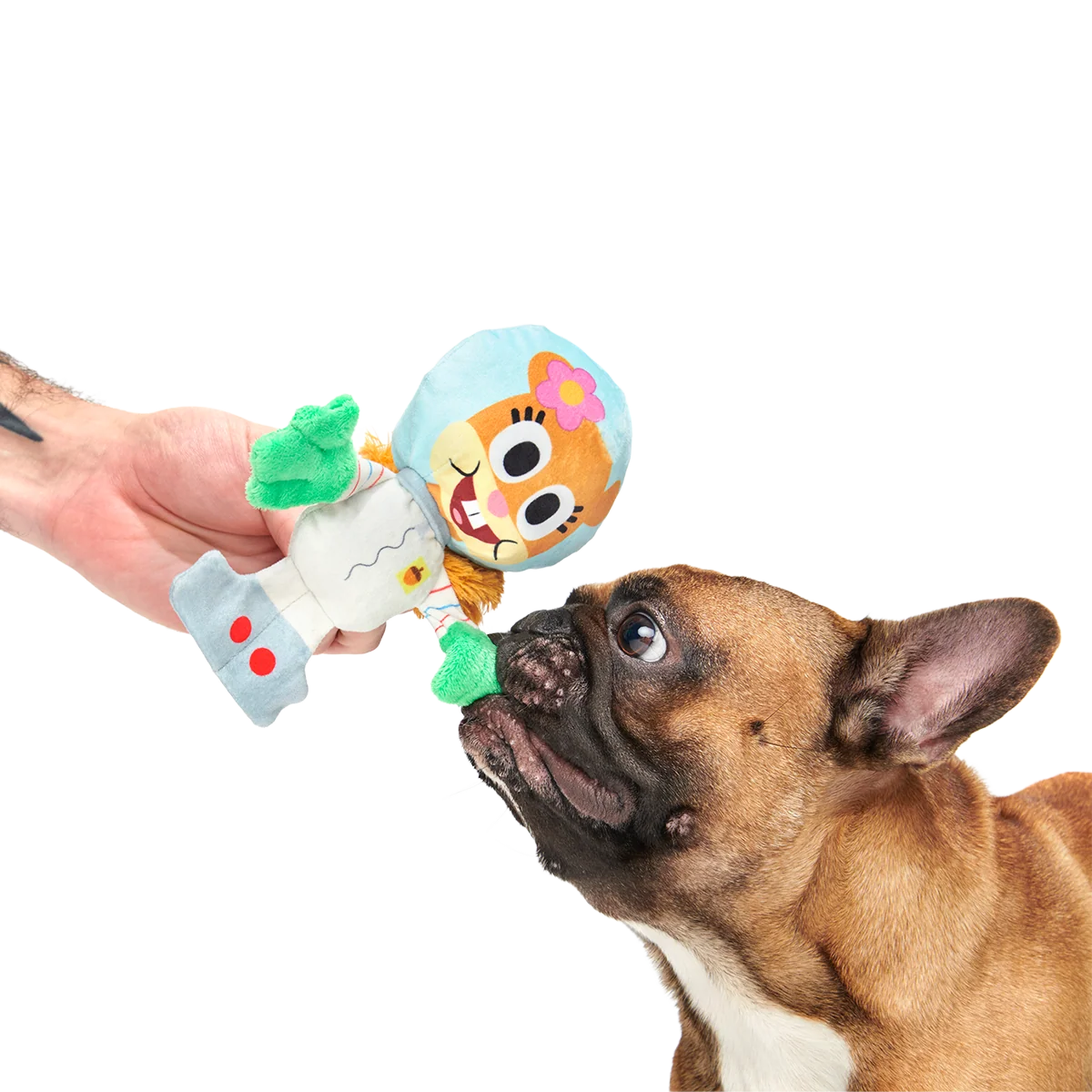 Kah-Rah-Tay Chomp Sandy Plush Tug Dog Toy - Image 4