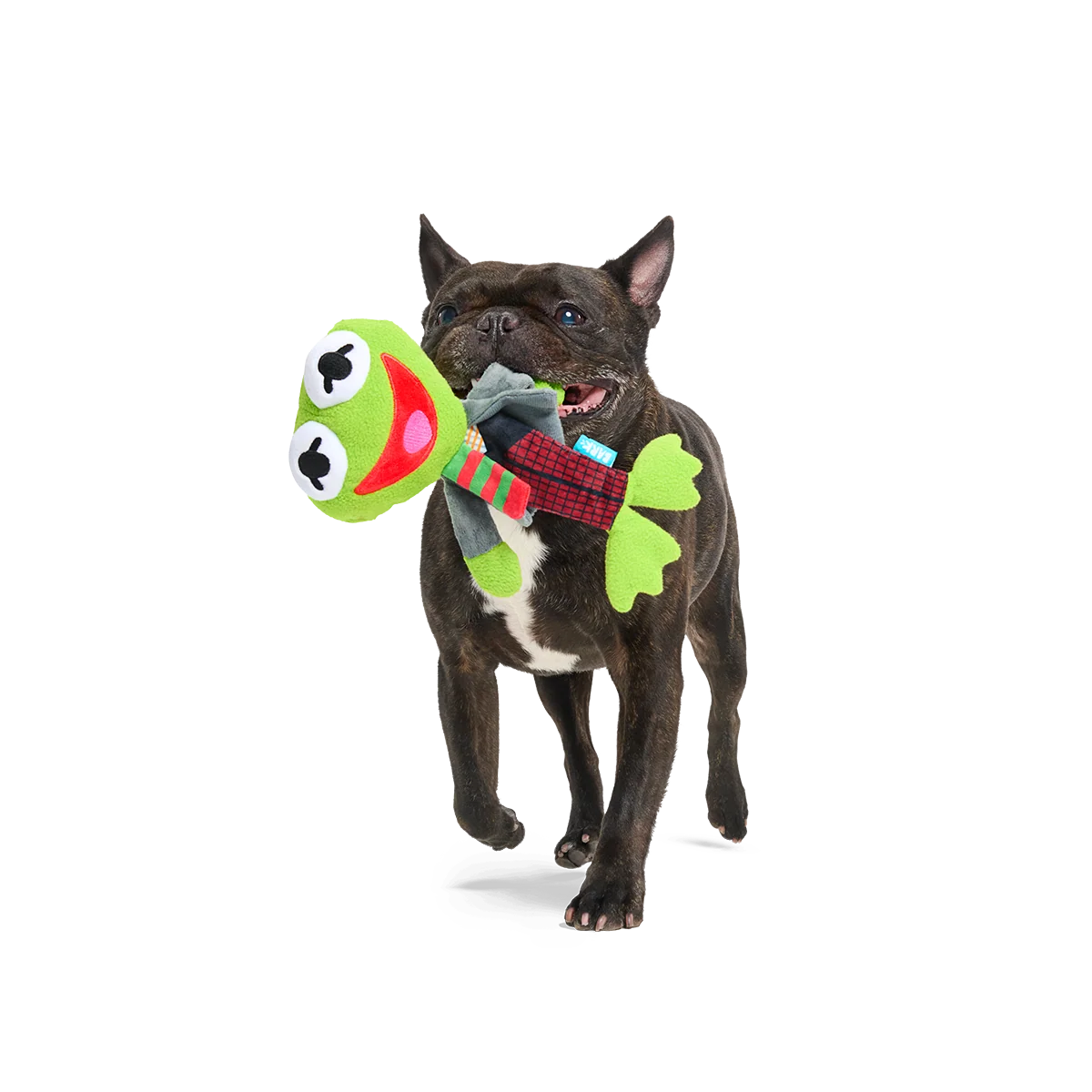 Kermit the Frog as “Bob Catch-It" Plush Tug Dog Toy - Image 4