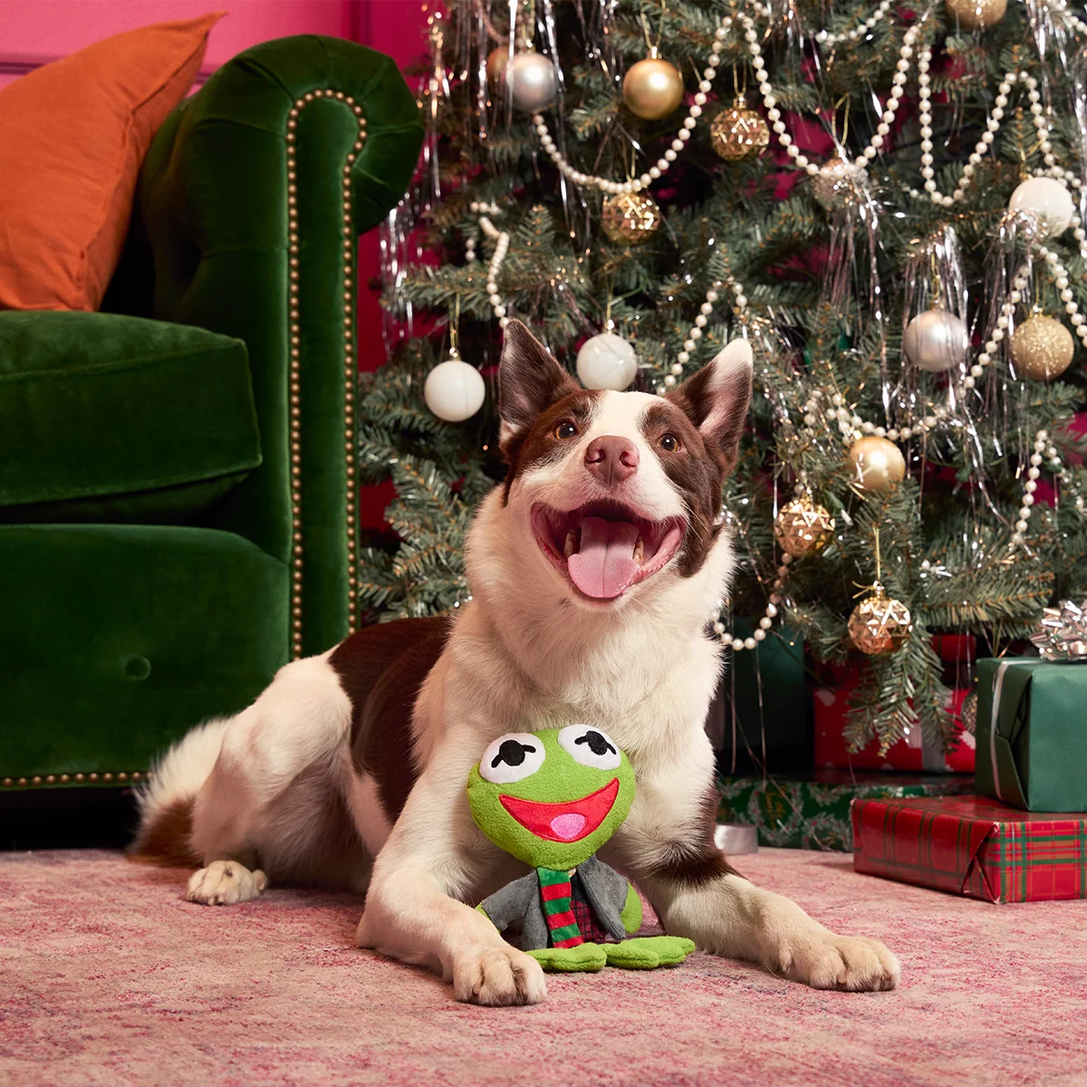 Kermit the Frog as “Bob Catch-It" Plush Tug Dog Toy - Image 6