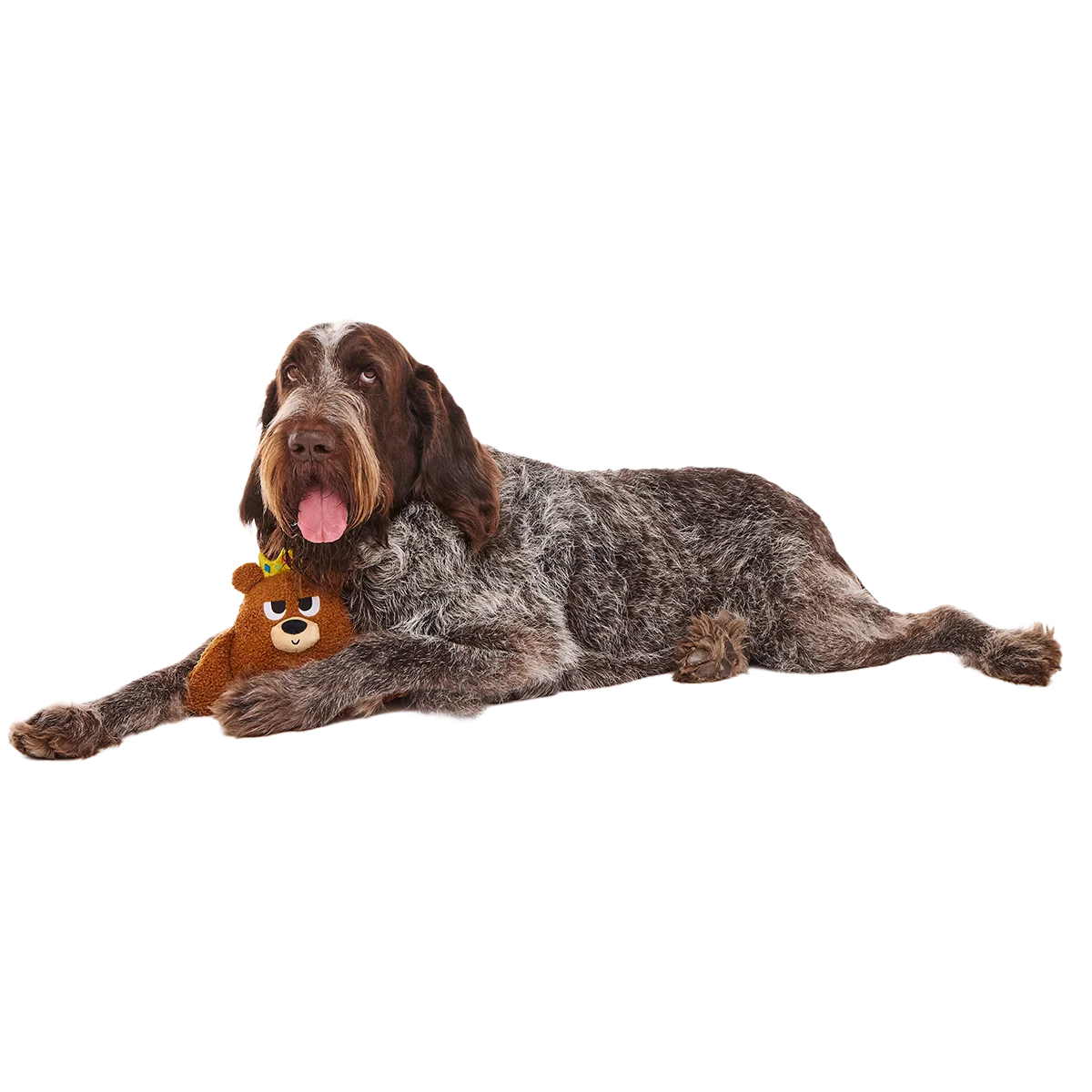 King Bearthur Plush Tug Dog Toy - Image 3