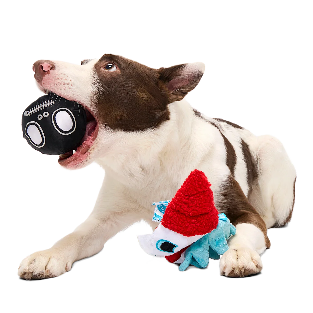 Last Laugh Bundle Plush Dog Toy - Image 5