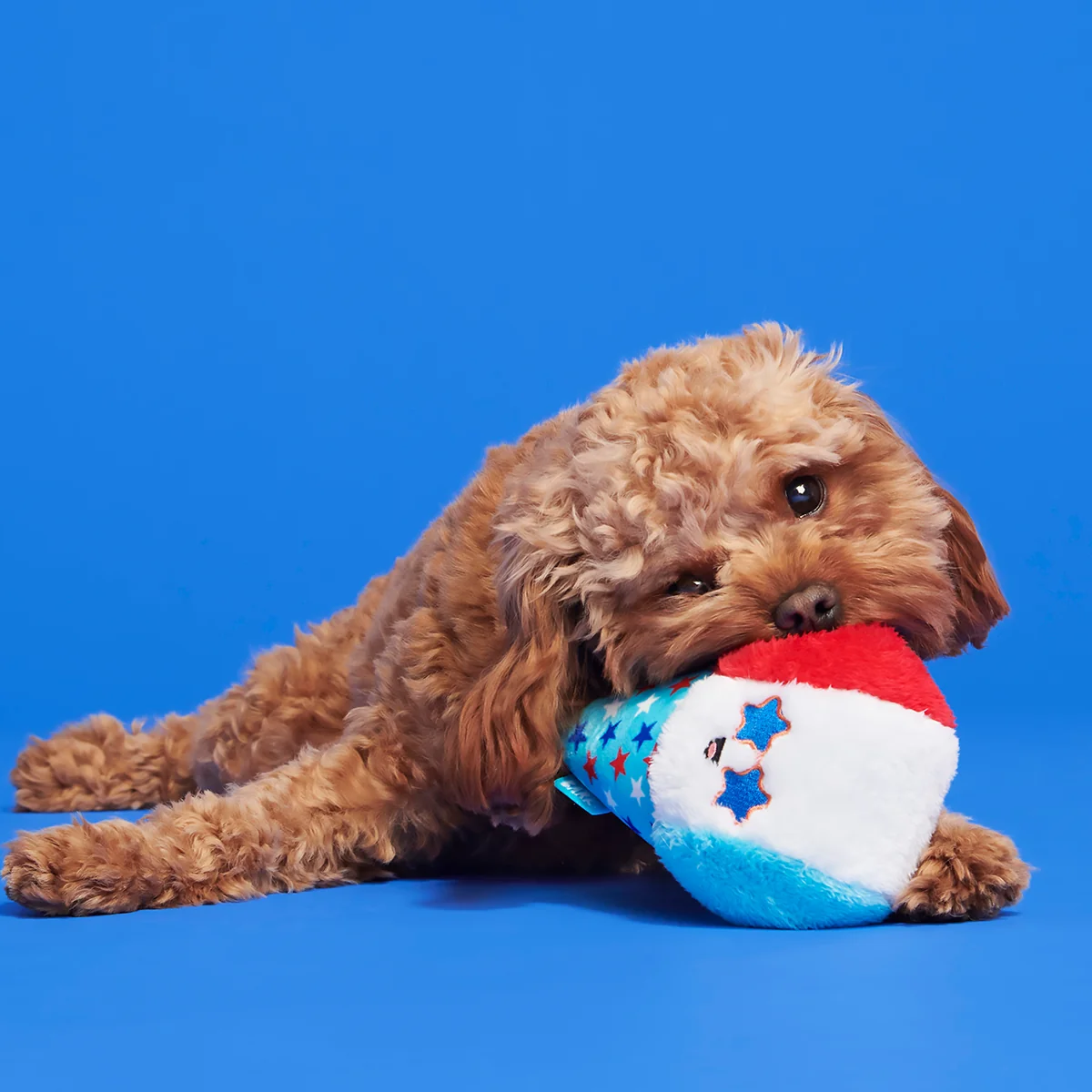 Liberty Cone Plush Dog Toy - Image 5