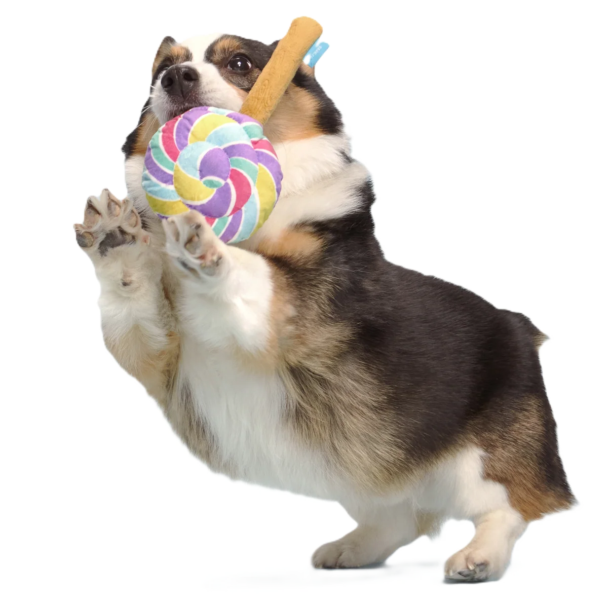 Lick-A-Lot Lollipop Plush Tug Dog Toy - Image 2