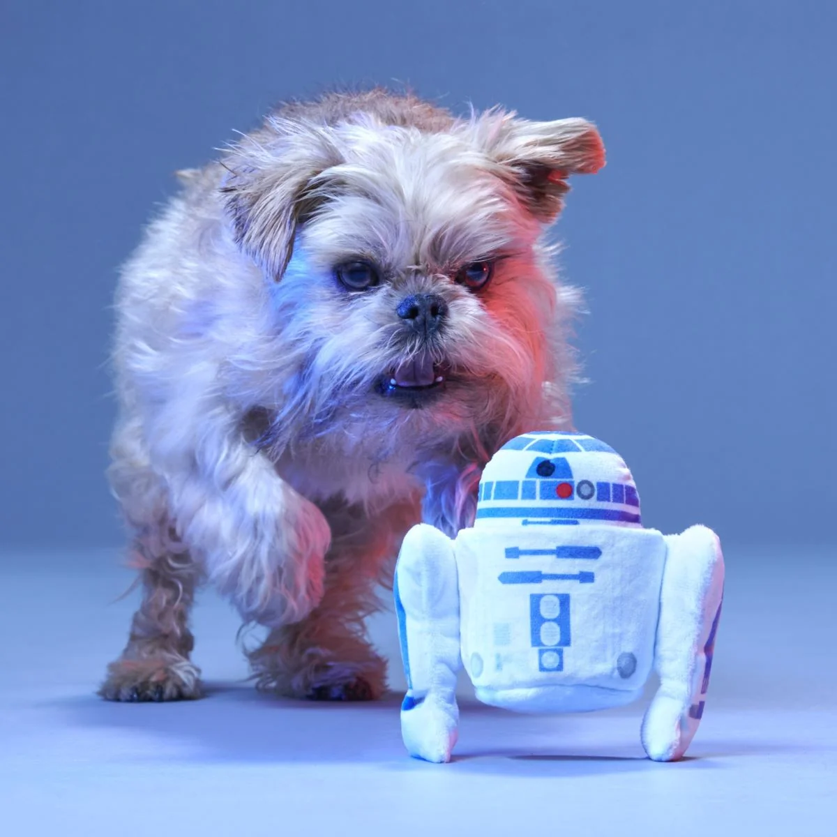 Beep Boop Squeak Plush Multi-Part + Fetch Dog Toy - Image 5