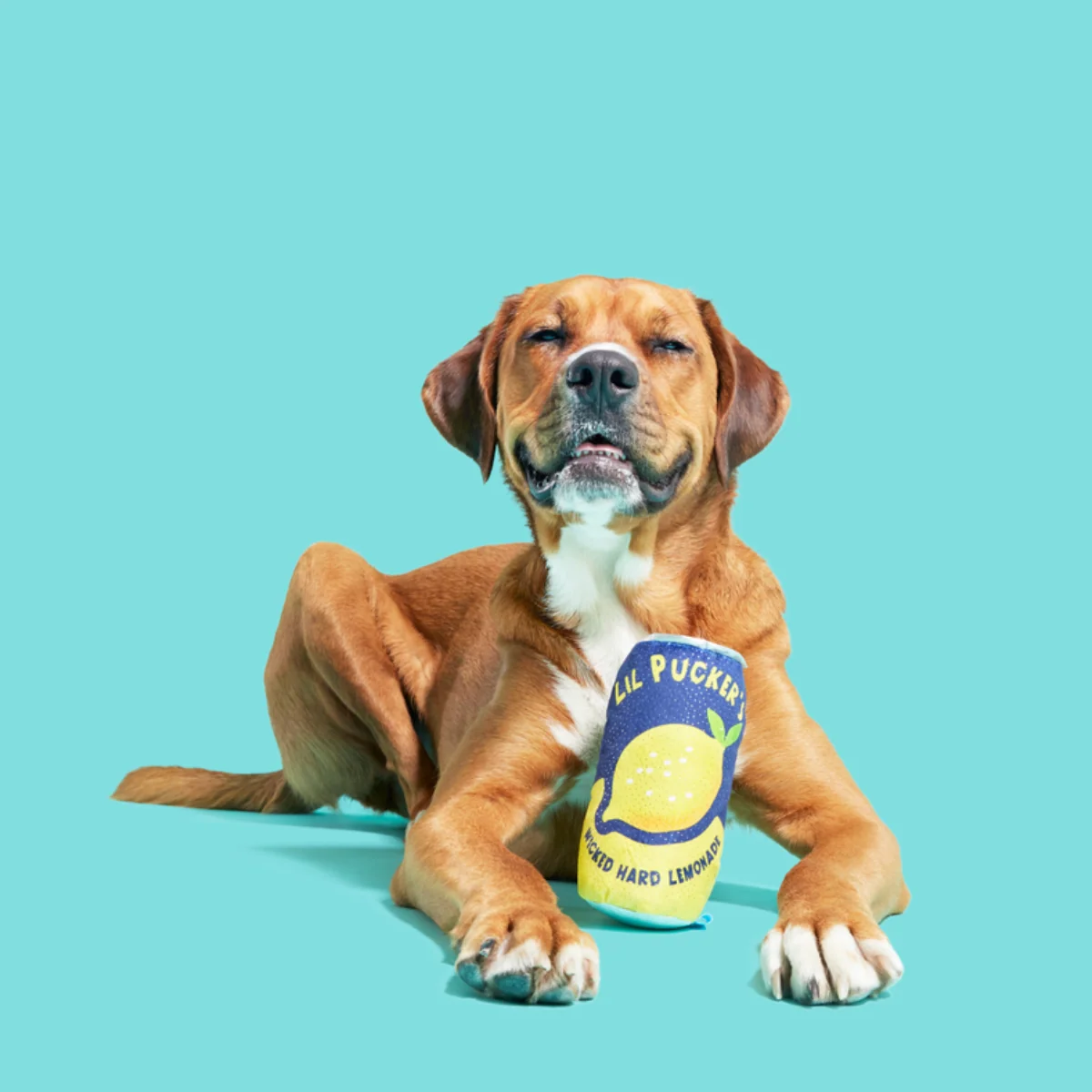 Lil' Pucker's Plush Dog Toy - Image 3