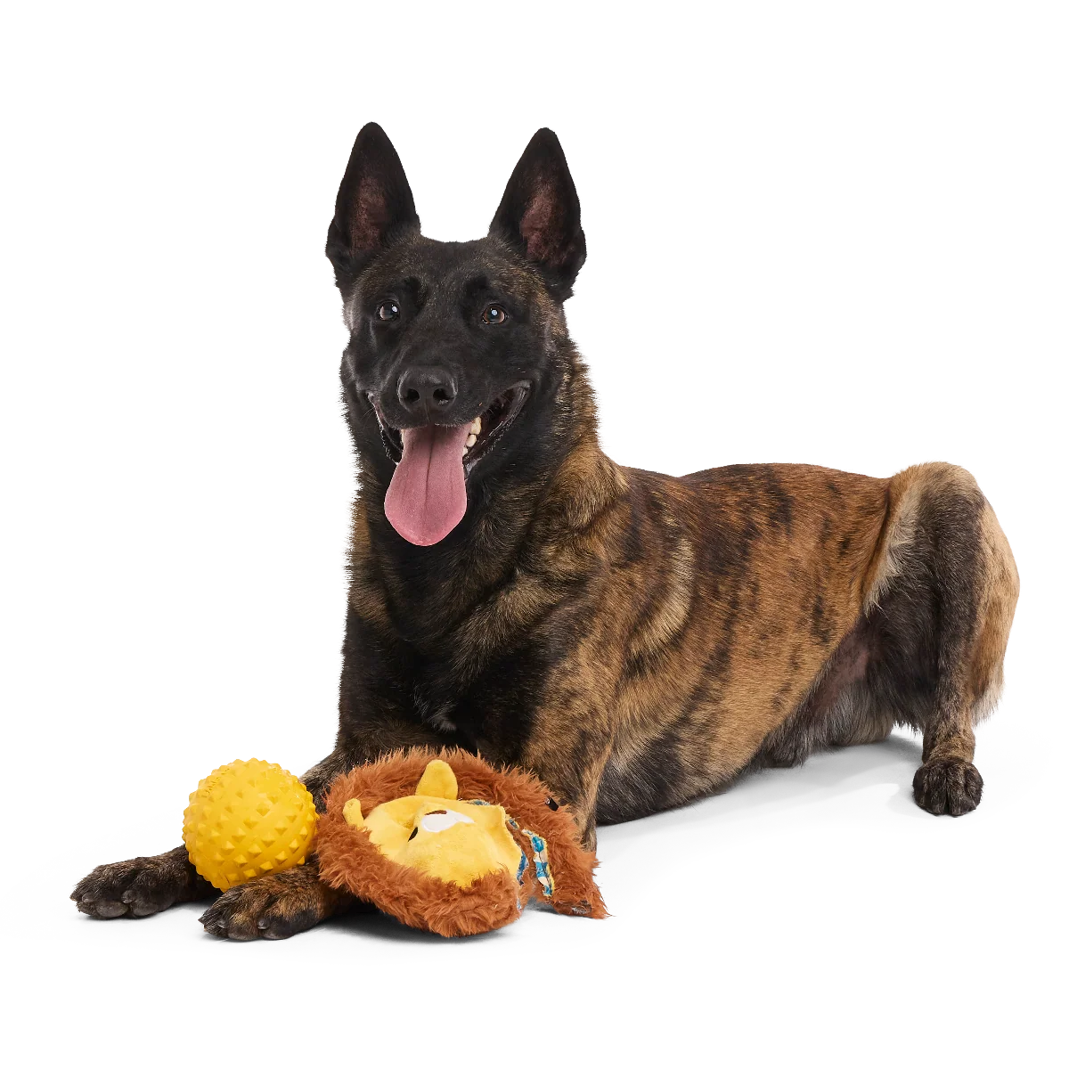 Lionel Lion Super Chewer Durable 2-in-1 + Fetch Dog Toy - Image 3
