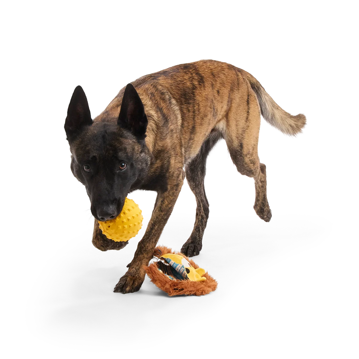 Lionel Lion Super Chewer Durable 2-in-1 + Fetch Dog Toy - Image 4