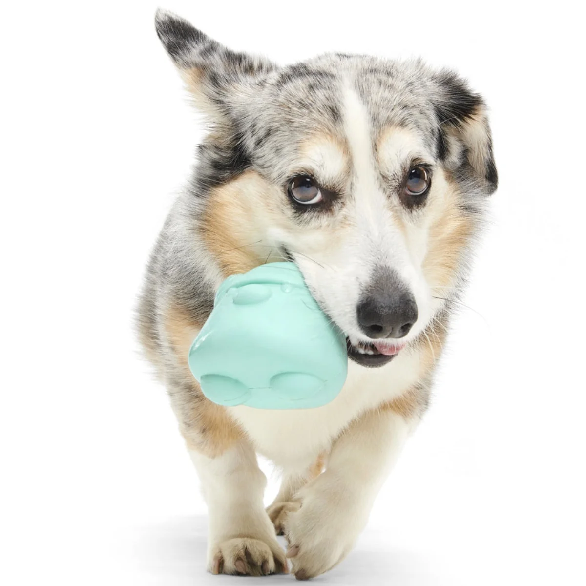 Lover Beast Super Chewer Durable 2-in-1 Rip and Reveal Dog Toy - Image 2
