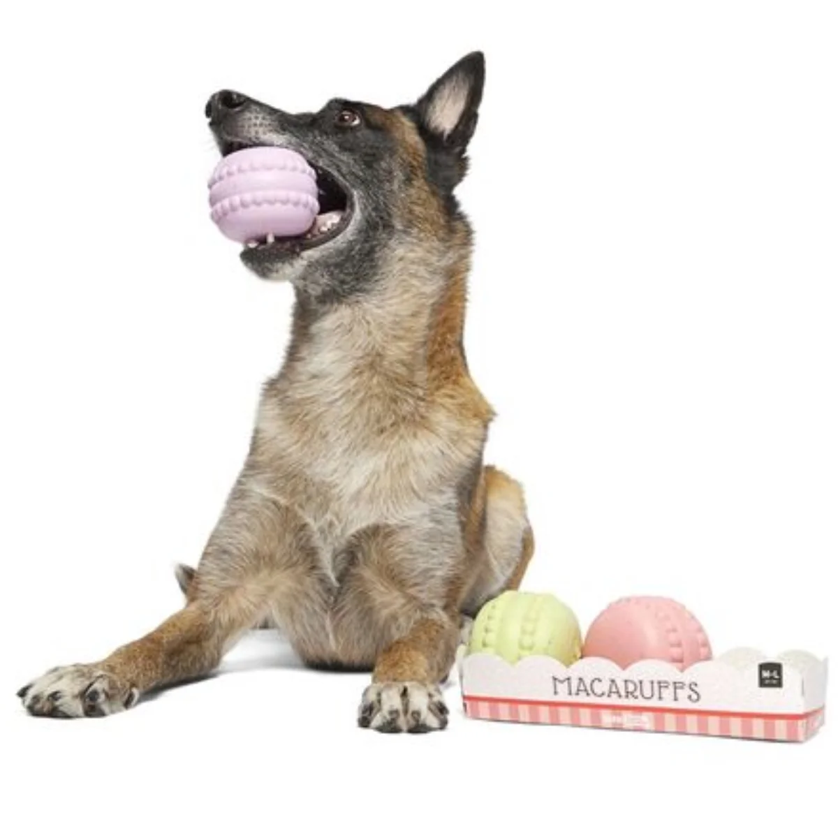 Macaruffs Durable Super Chewer Multi-Part Dog Toy - Image 6
