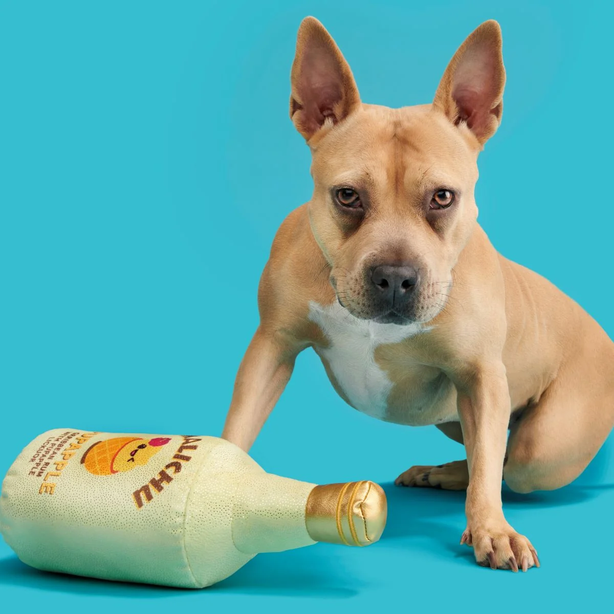 Malichu Rum Plush Extra-Large + Tug Dog Toy - Image 4