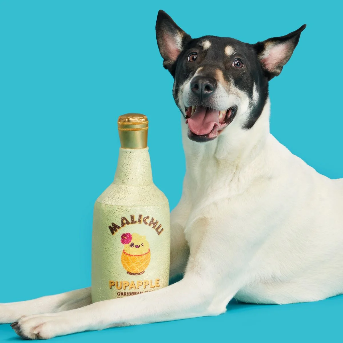 Malichu Rum Plush Extra-Large + Tug Dog Toy - Image 6