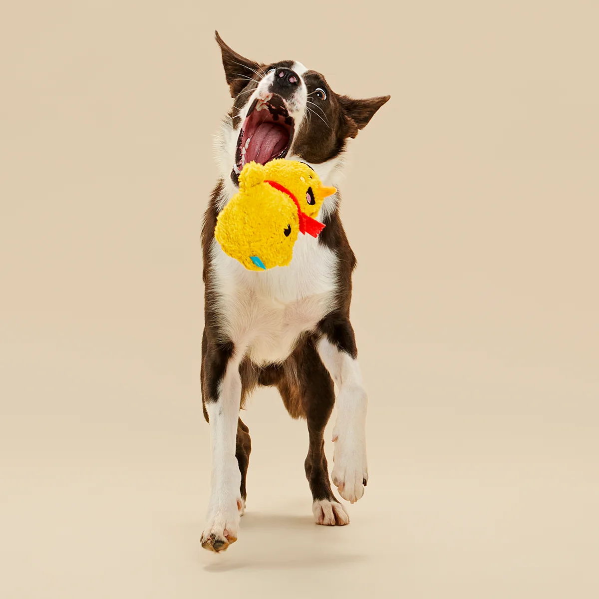 Mark the Yellow Snowman Plush Dog Toy - Image 2
