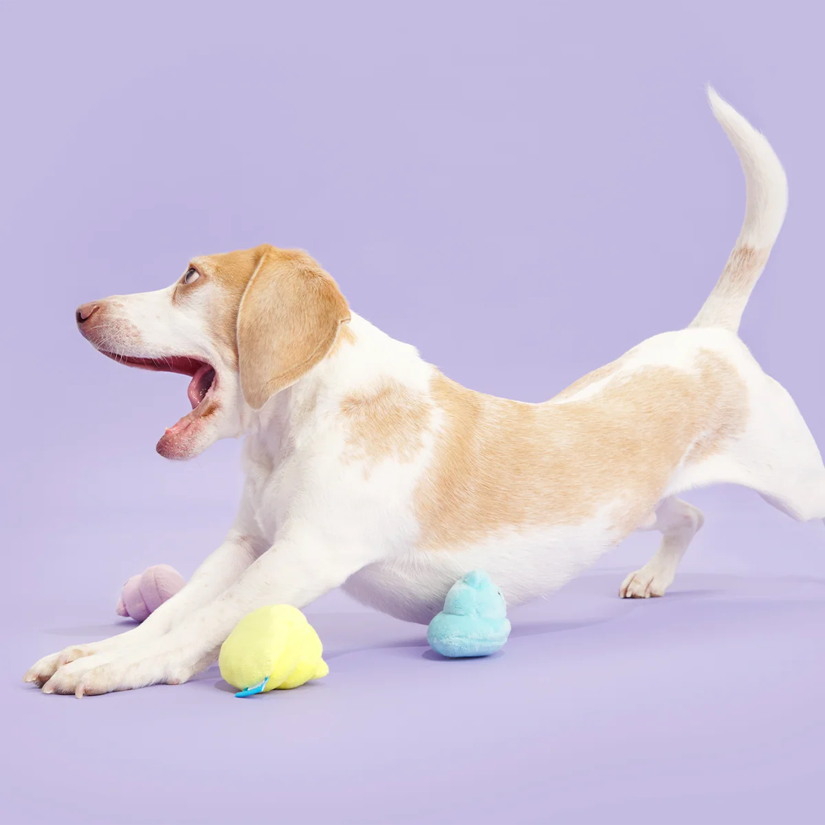 Marshmallow Poops Plush Multi-Part Dog Toy - Image 4
