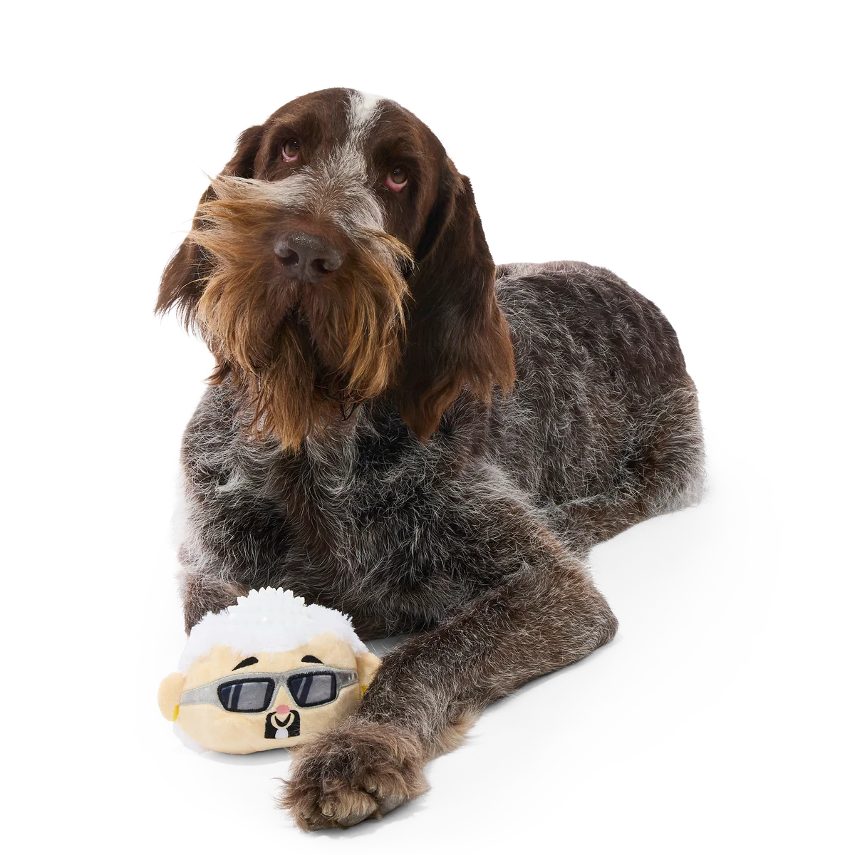 Mayor of Squeakertown Plush Multi-Part + Fetch Dog Toy - Image 2