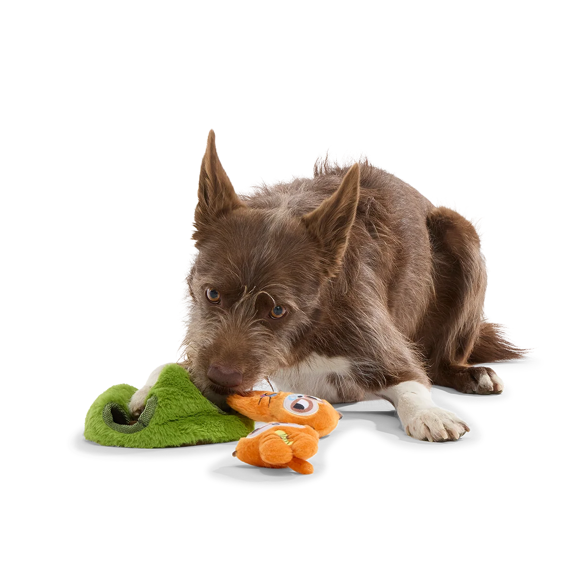 Mchanga & Mwanga Meerkat Plush Multi-Part + Enrichment Dog Toy - Image 4