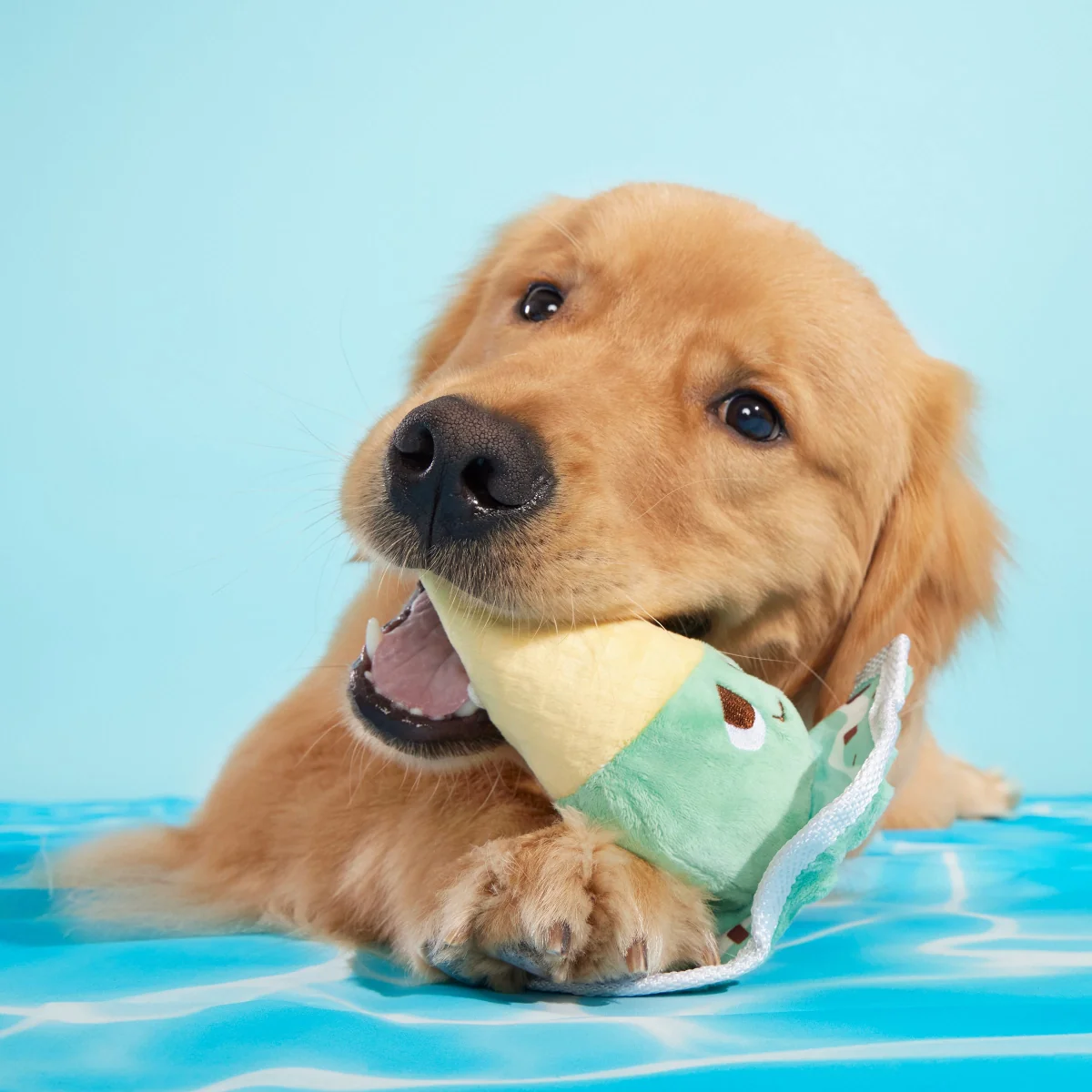 Melty Minty Monty Plush Tug Dog Toy - Image 2