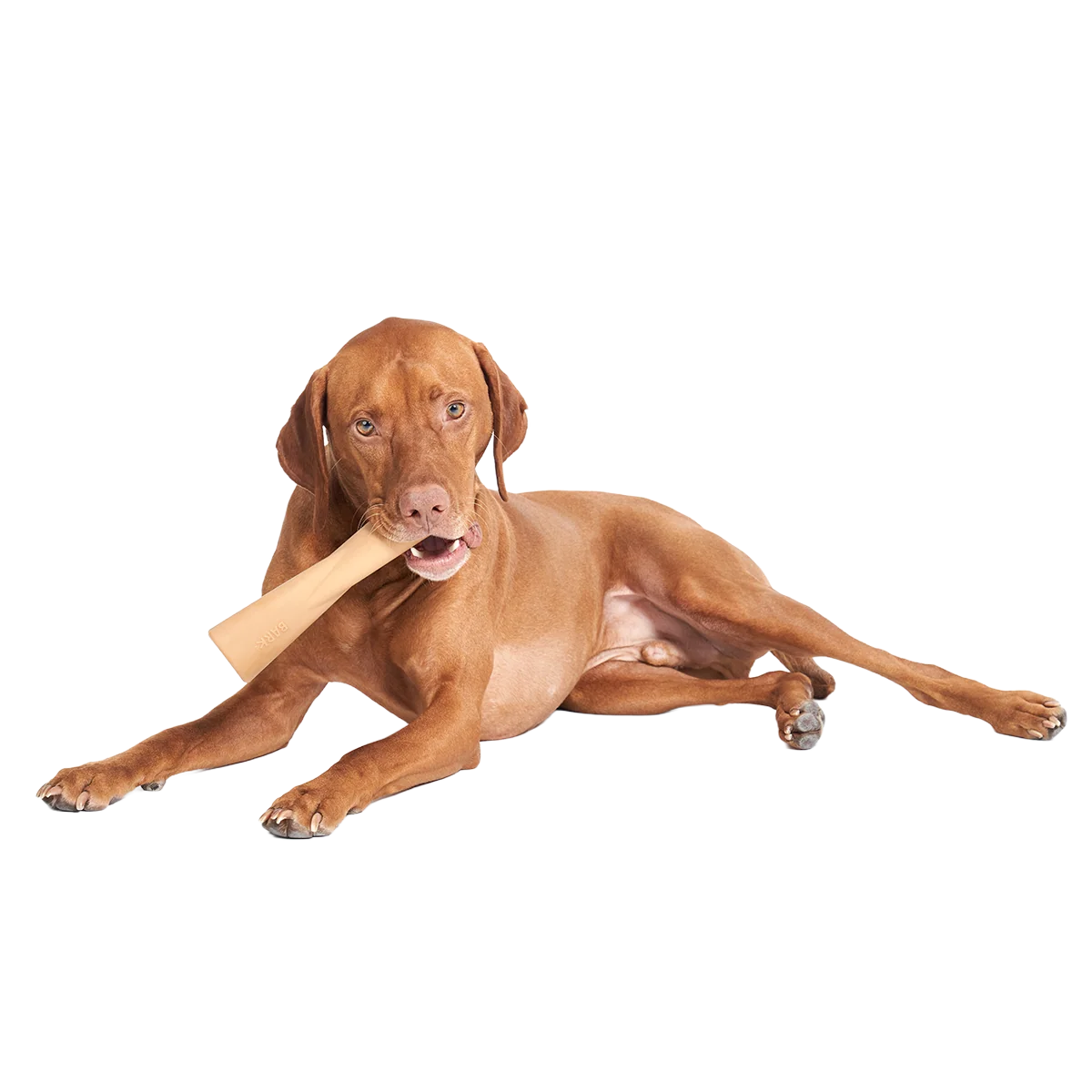 Mighty Bone Super Chewer Durable Gnaw Dog Toy - Image 3