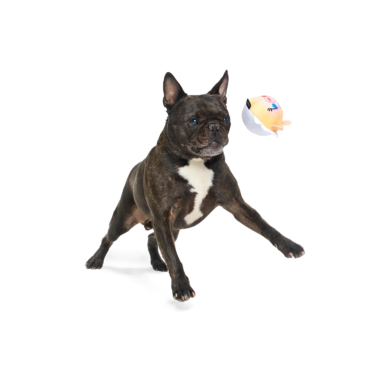 Miss Piggy as “Bouncing Emily Catch-it” Super Chewer Durable 2-in-1 + Fetch Dog Toy - Image 3