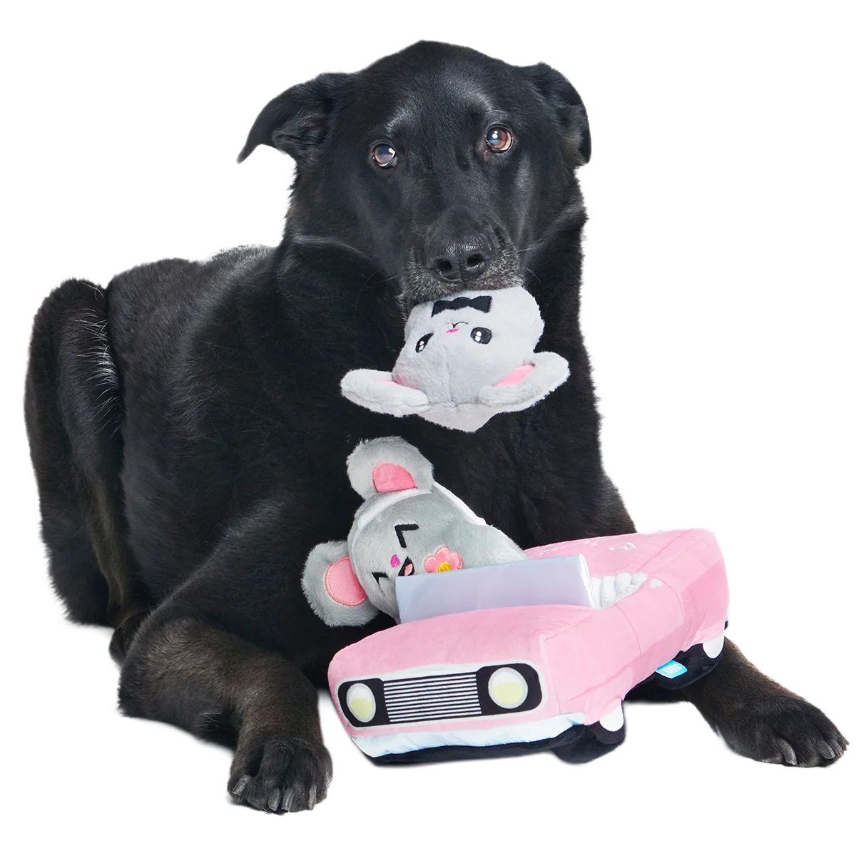 Mister and Mouses Plush Multi-Part Dog Toy - Image 7