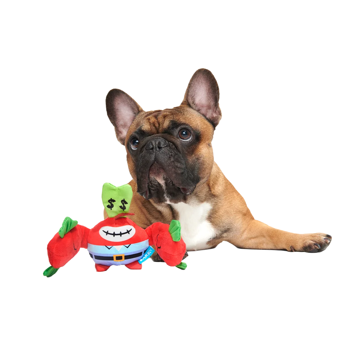 Money-Tugging Mr. Krabs Plush Tug Dog Toy - Image 3