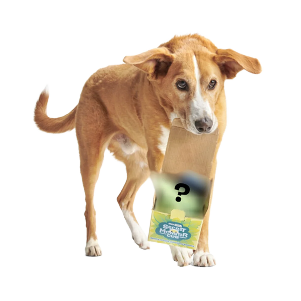 Secret Monster Club, Super Chewer Durable 2-in-1 Rip and Reveal Monthly Dog Toys - Image 3