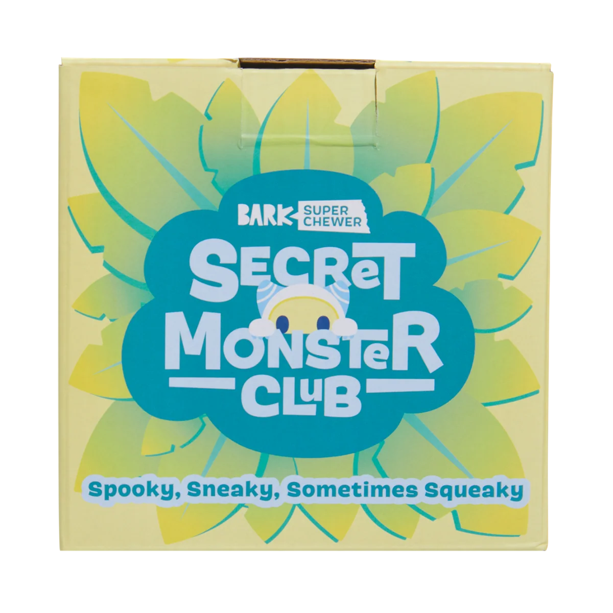 Secret Monster Club, Super Chewer Durable 2-in-1 Rip and Reveal Monthly Dog Toys - Image 6