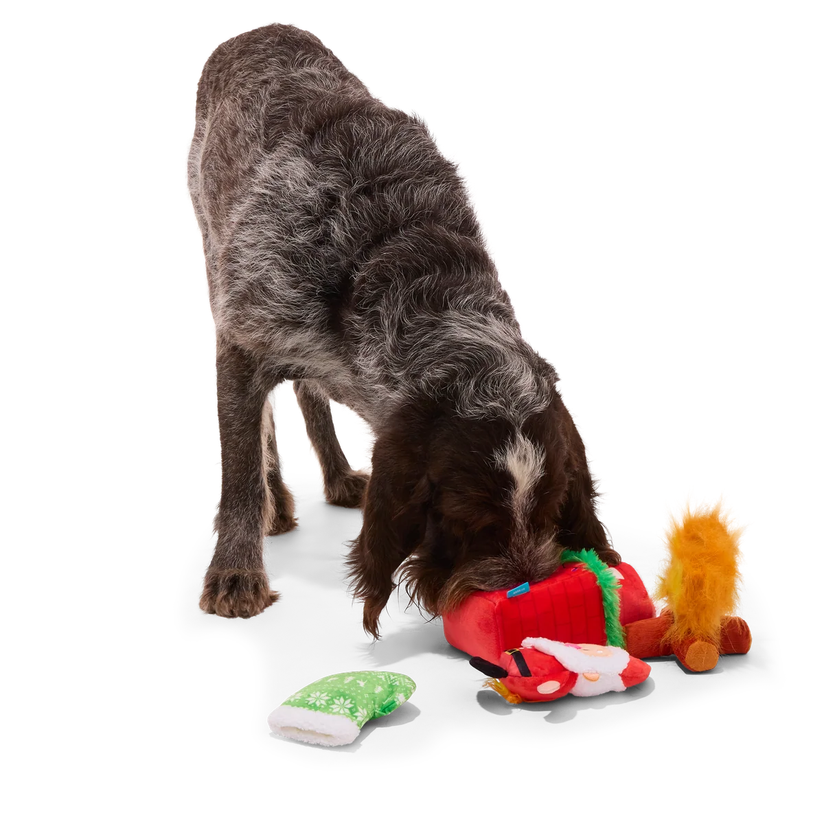 Mutts Be Santa Plush Extra-Large + Enrichment + Multi-Part Dog Toy - Image 9