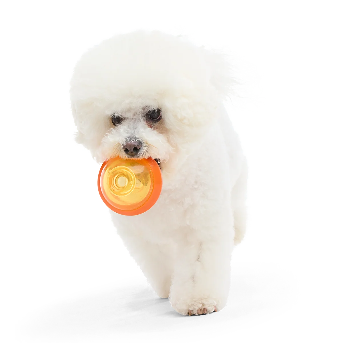 Nebula Super Chewer Durable Fetch + Enrichment Dog Toy - Image 4