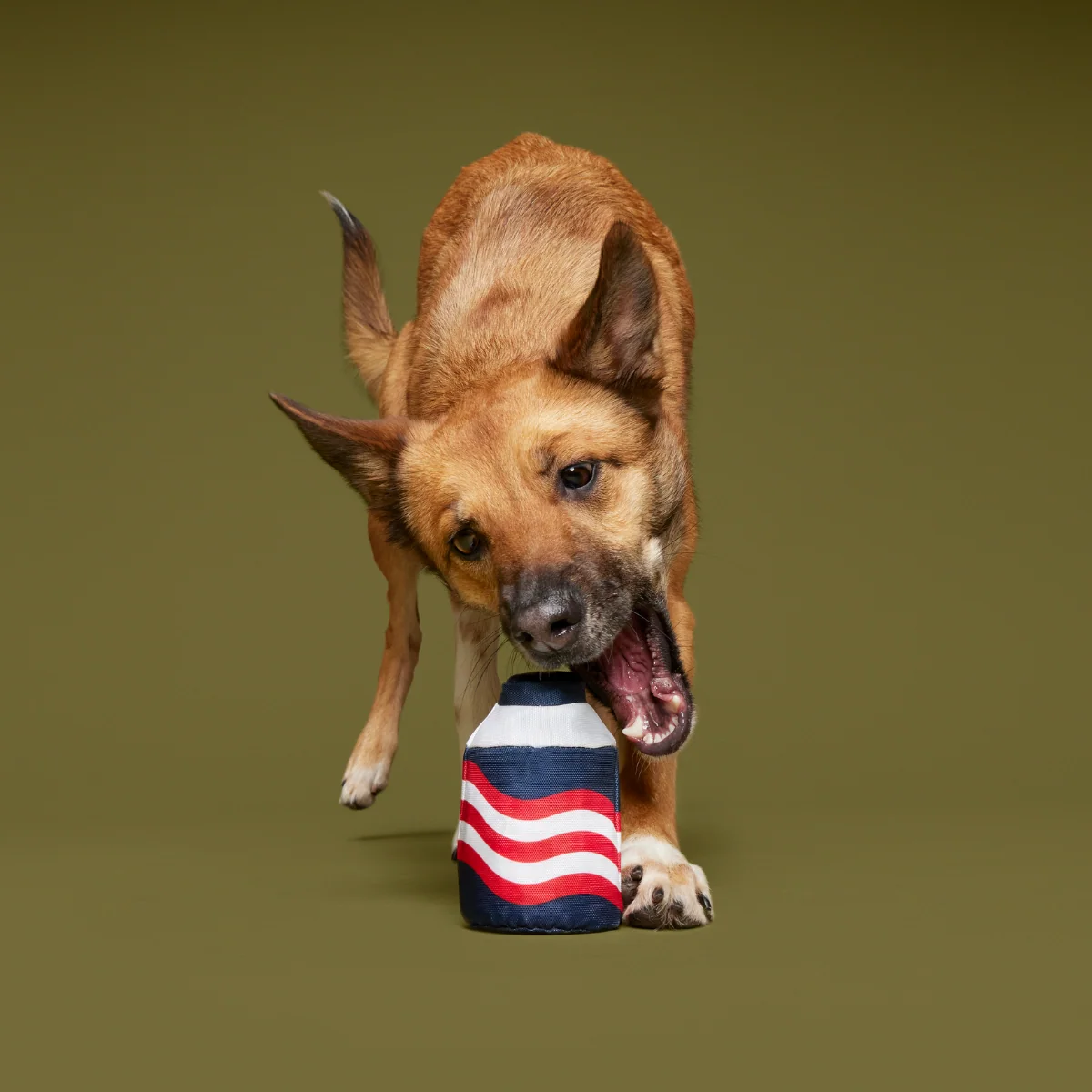Nedry's Scheme Revealed Durable Super Chewer 2-in-1 Rip and Reveal Dog Toy - Image 3