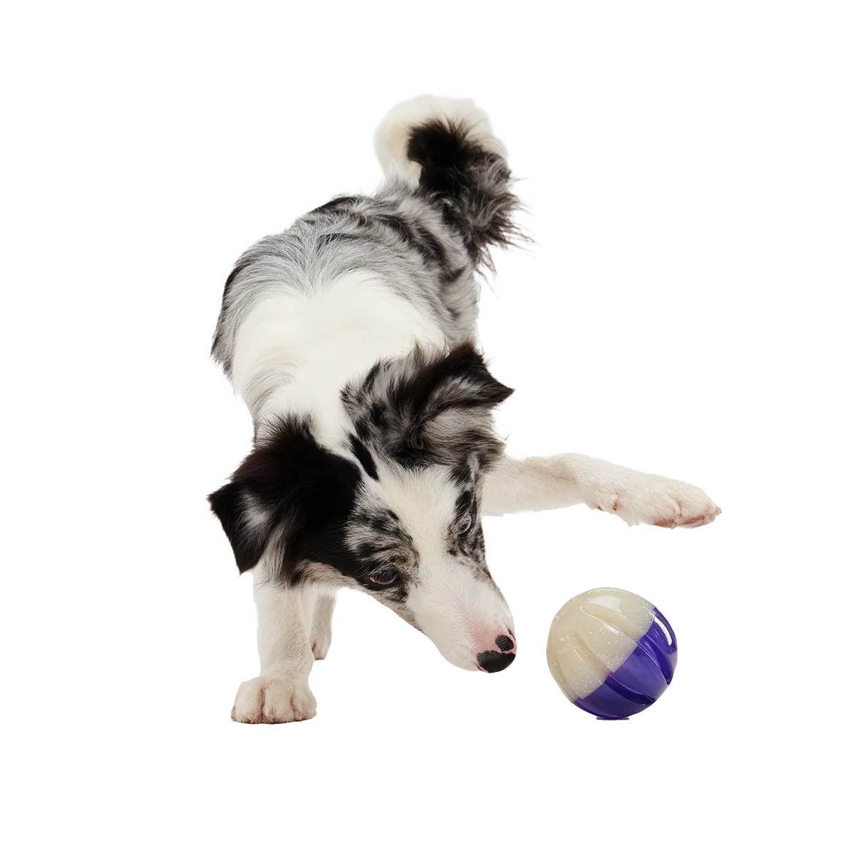 Nepzoom Super Chewer Durable Enrichment + Fetch Dog Toy - Image 3