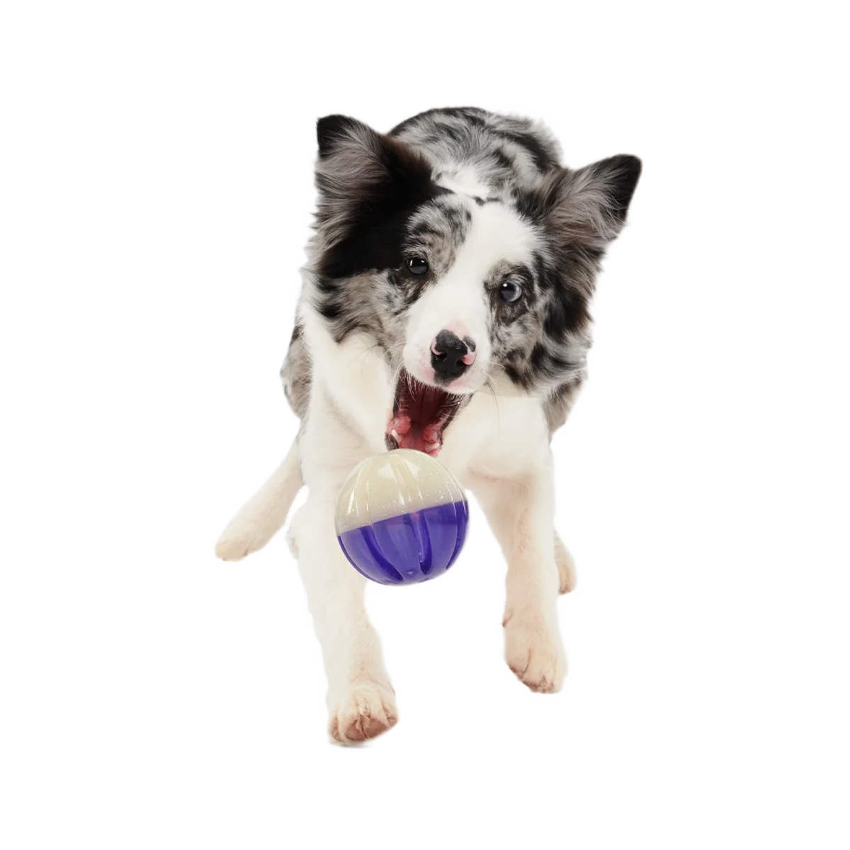 Nepzoom Super Chewer Durable Enrichment + Fetch Dog Toy - Image 4