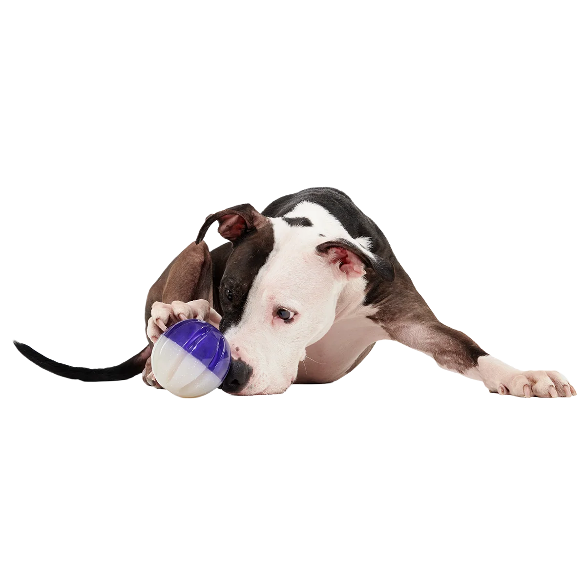 Nepzoom Super Chewer Durable Enrichment + Fetch Dog Toy - Image 5