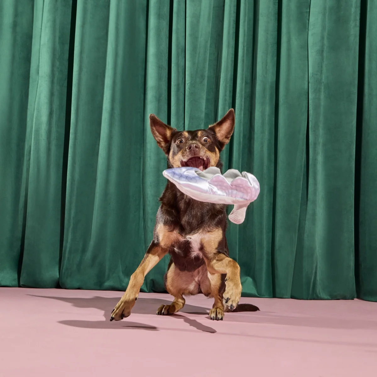 Nessa's Squeakin' Slipper Plush Enrichment Dog Toy - Image 9