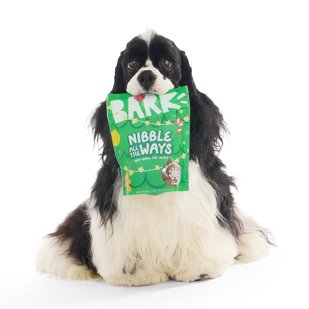 Nibble All the Ways Pumpkin Soft-Baked Dog Treats, 4 oz - Image 4