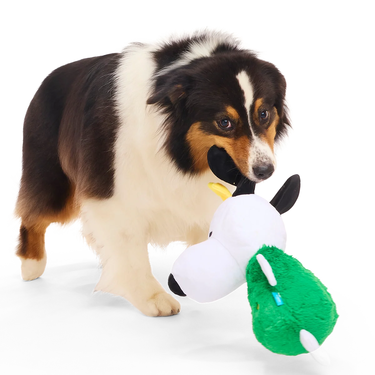 O Snoopy Tree Plush Extra-Large + Tug Dog Toy - Image 4