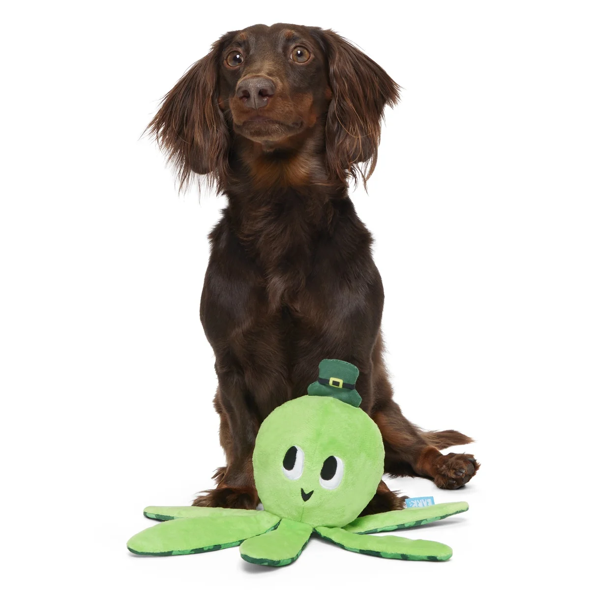 Odd McOllie Plush Tug Dog Toy - Image 2