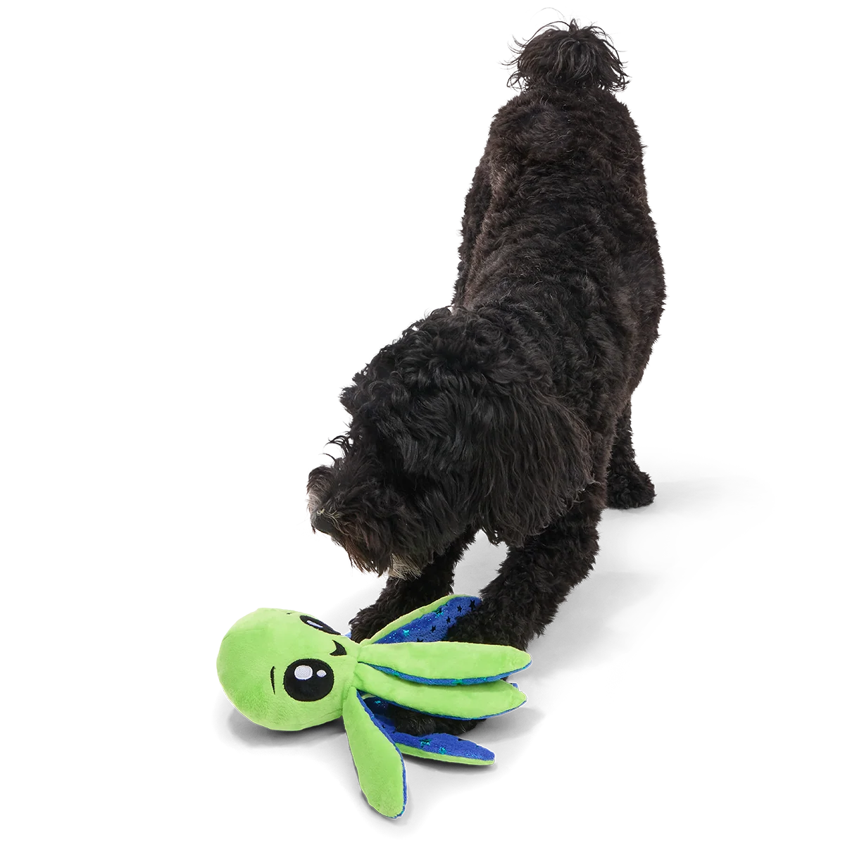 Ollie the Octopus Club, Plush Tug Monthly Dog Toys - Image 4