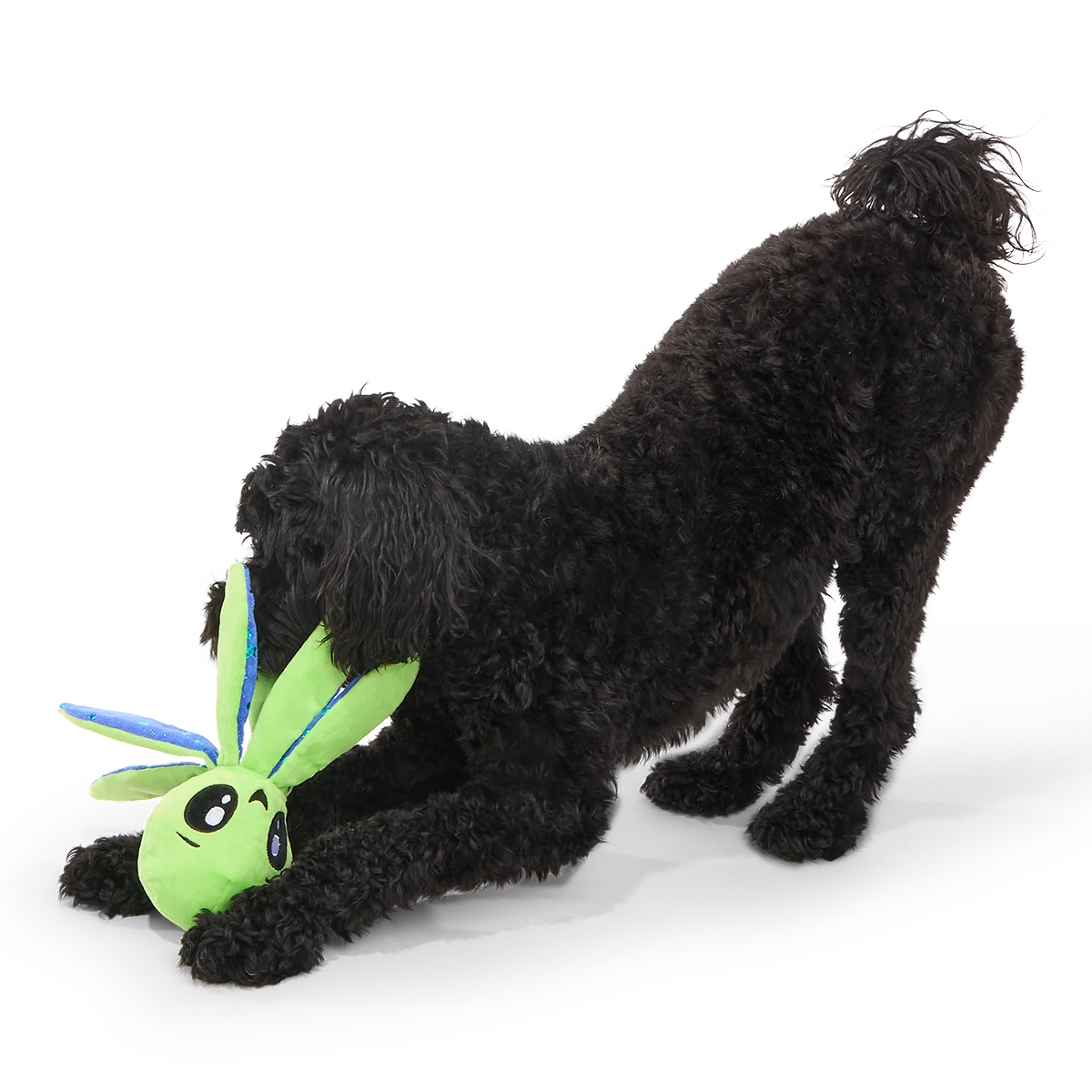 Ollie the Octopus Club, Plush Tug Monthly Dog Toys - Image 5