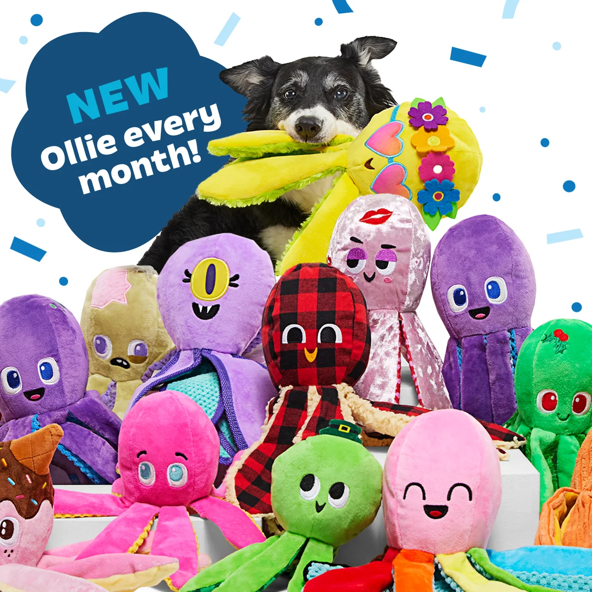 Ollie the Octopus Club, Plush Tug Monthly Dog Toys - Image 8