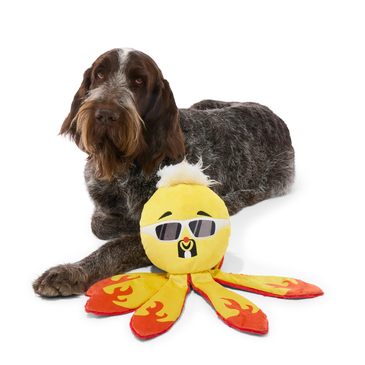 Off The Hook Ollie Plush Extra-Large + Tug Dog Toy - Image 3